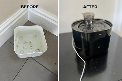 Before & After Pet Water Fountain
